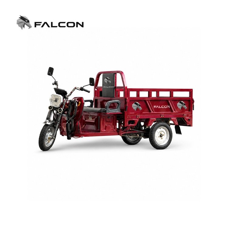 Open Cargo Electric Tricycle