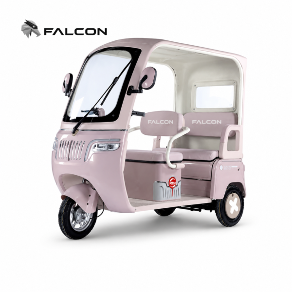 Canopy Leisure Electric Tricycle