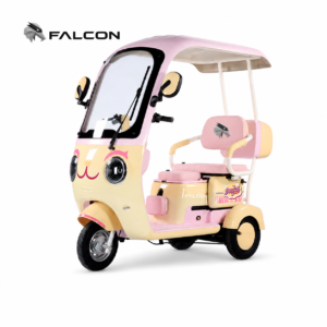 Canopy Leisure Electric Tricycle