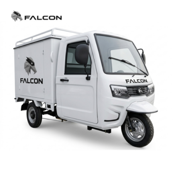 Electric Cargo Tricycle ZH-XH001