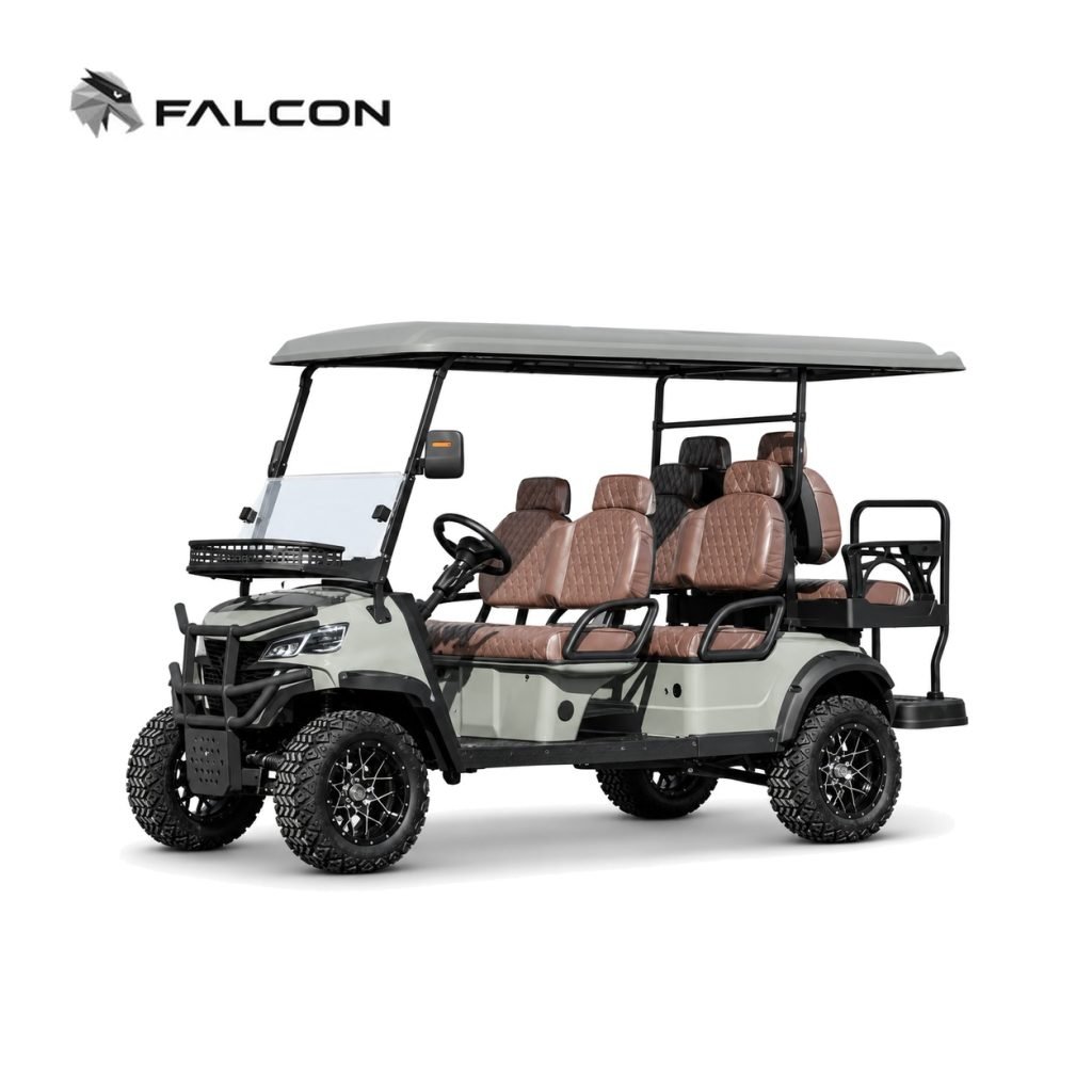 Electric Golf Cart GG-DP017