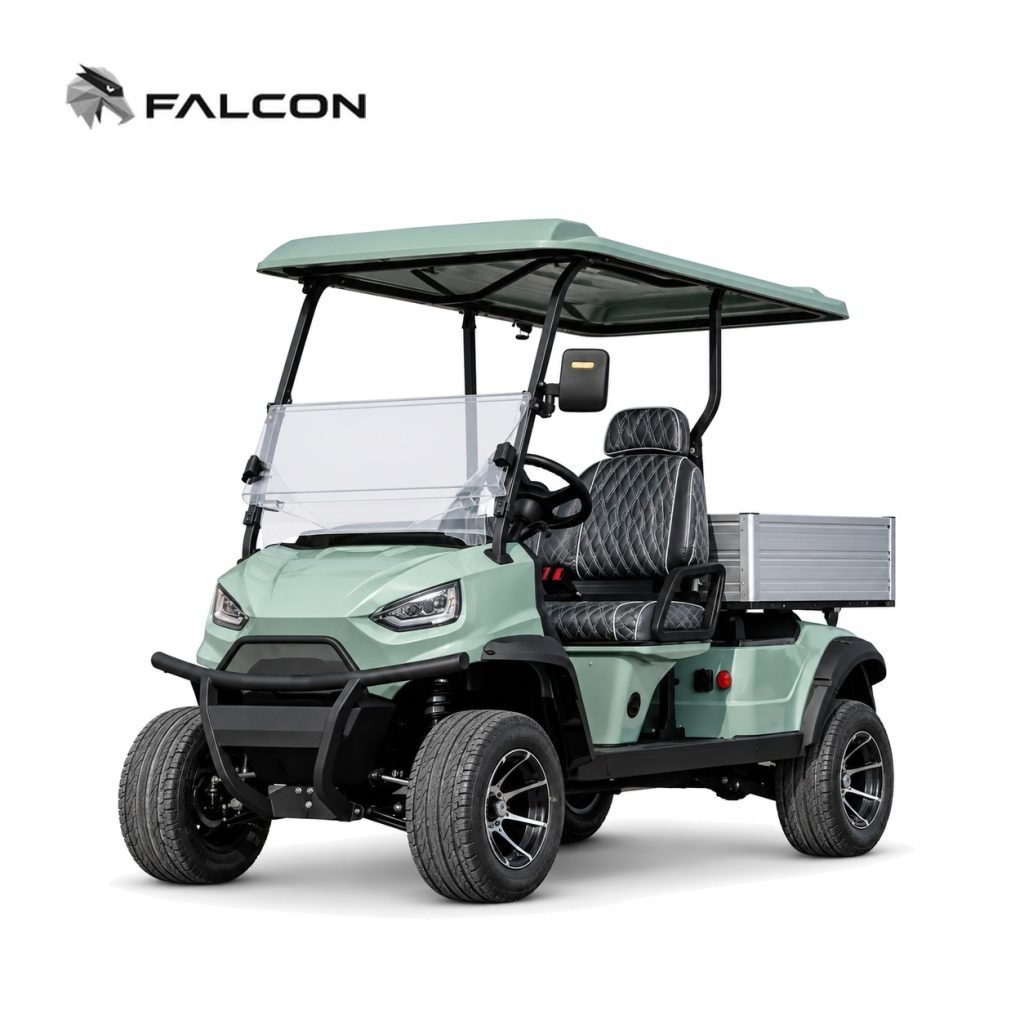 Electric Golf Cart GG-DP018