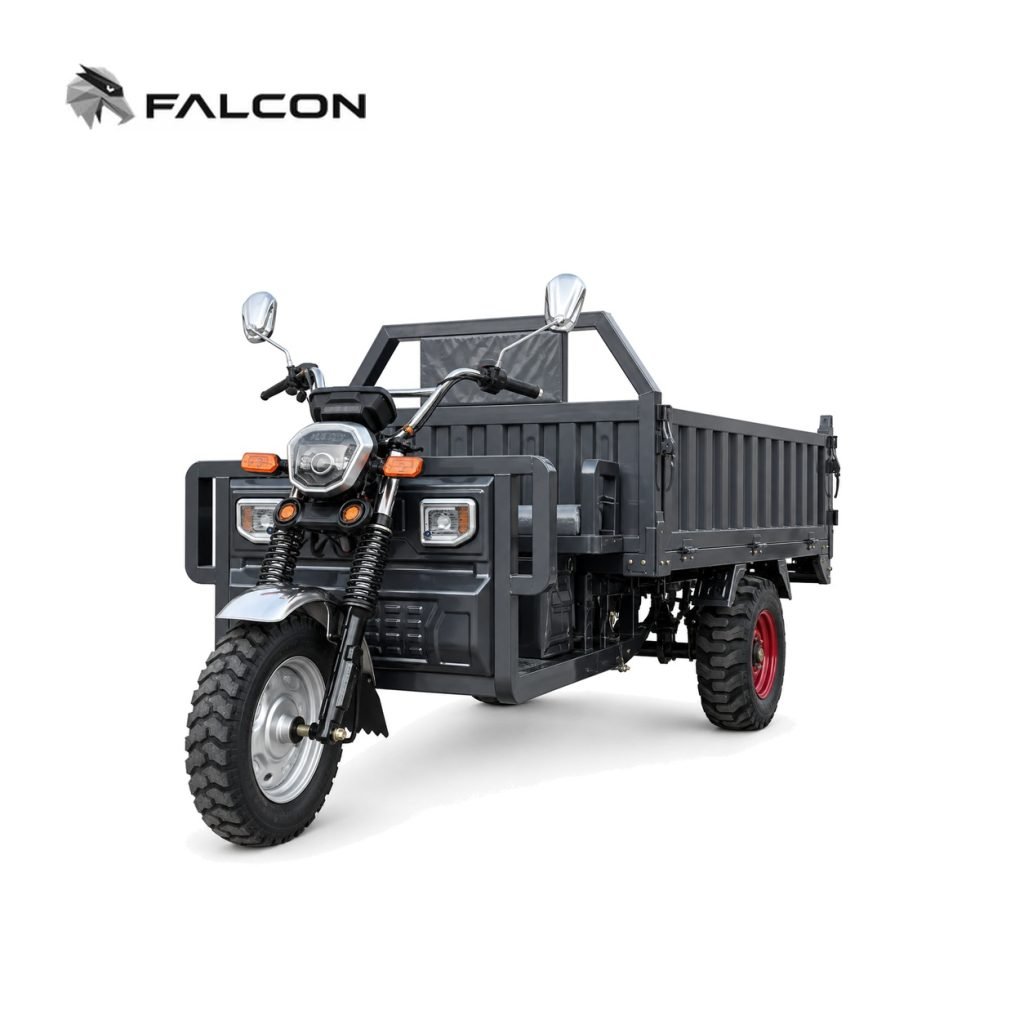 Electric Cargo Tricycle ZH-CP010