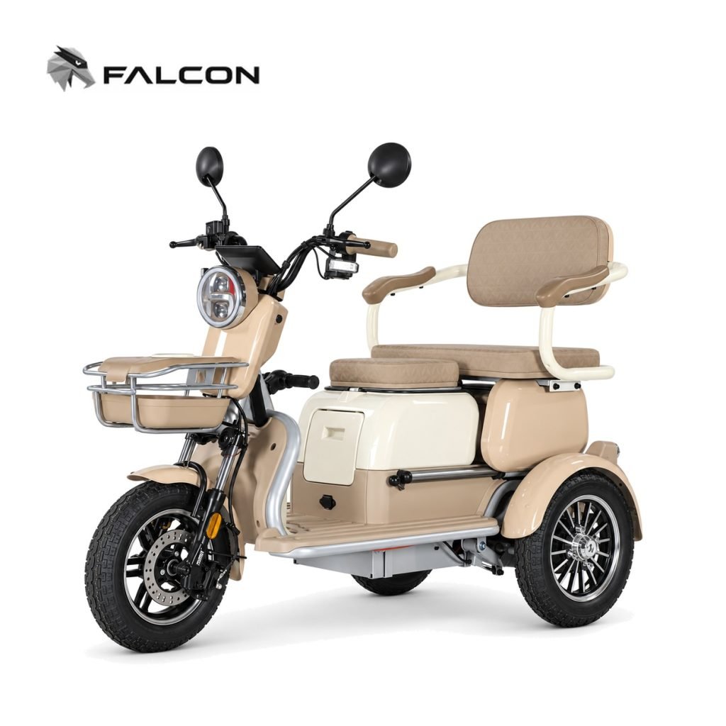 Electric Passenger Tricycle ZK-CP007