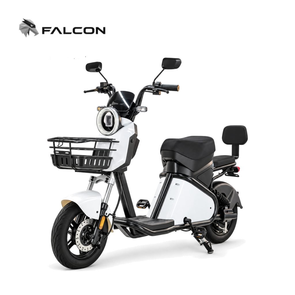 Electric Motorcycle ZR-CP006