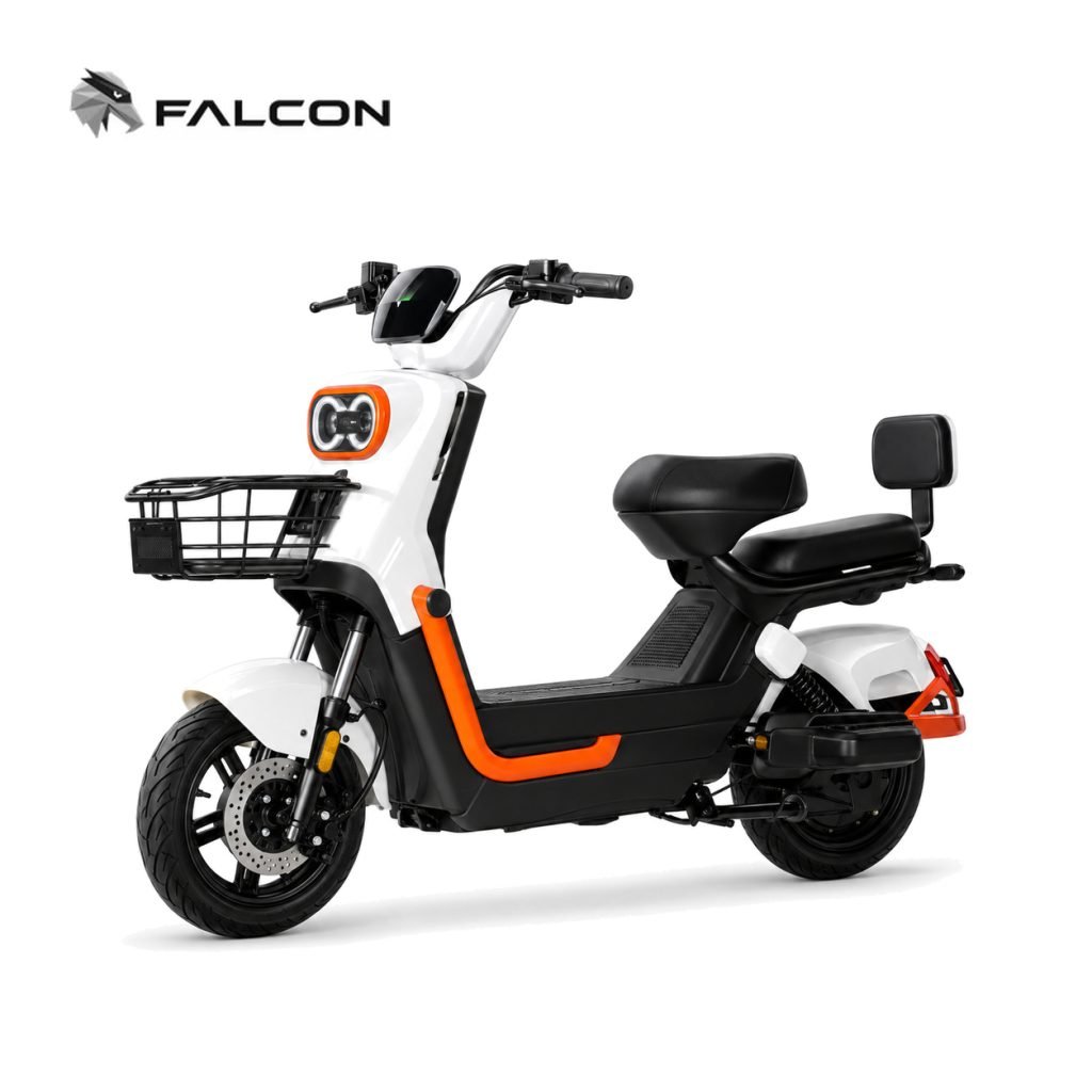 Electric Motorcycle ZR-CP007