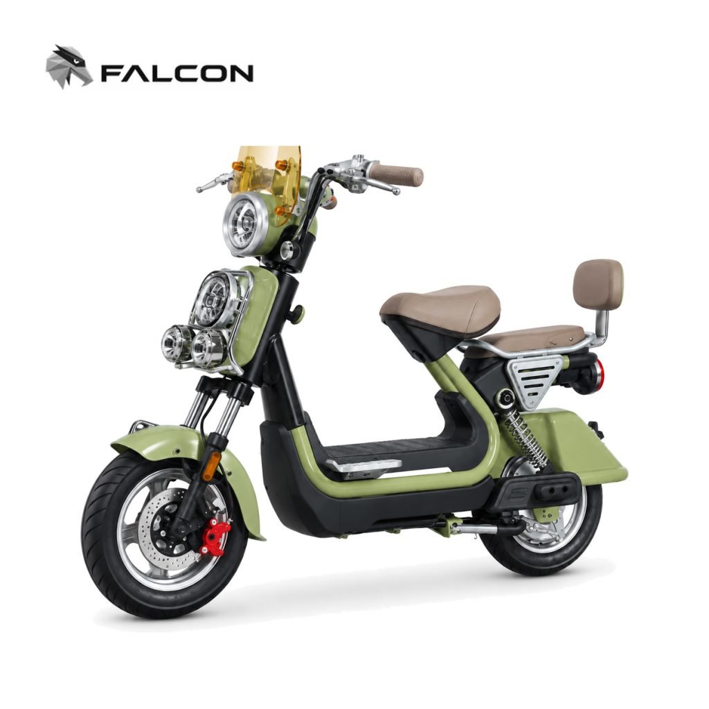 Electric Motorcycle ZR-CP008