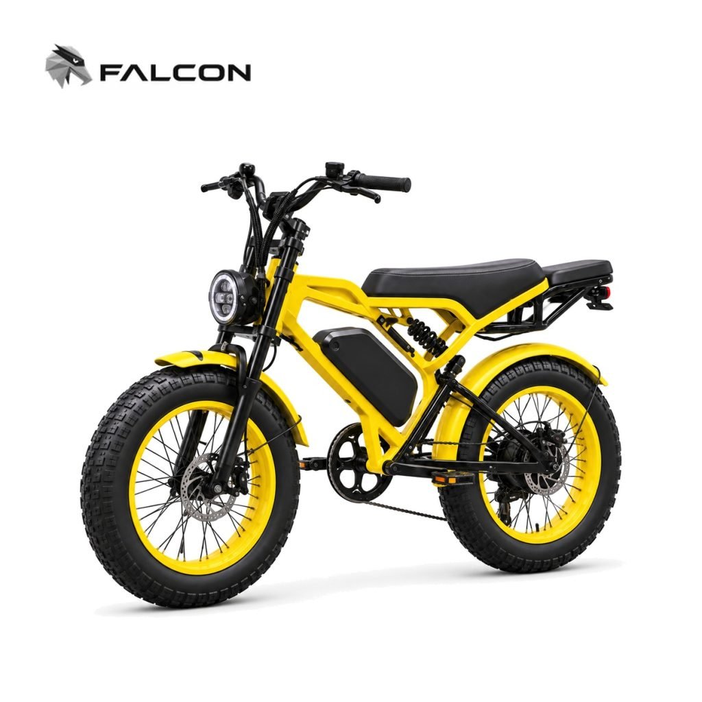 Electric Motorcycle ZR-CP012